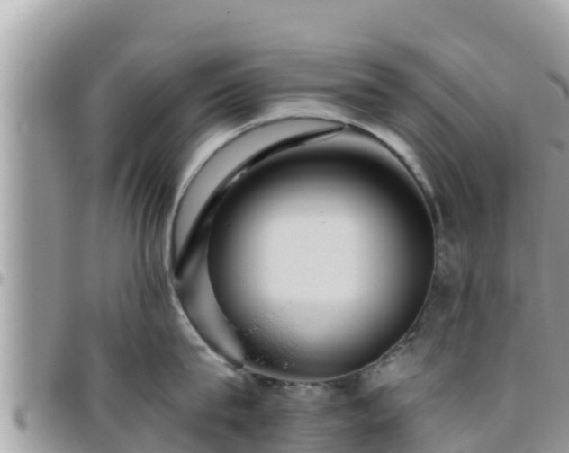 X0000095920815200801181416