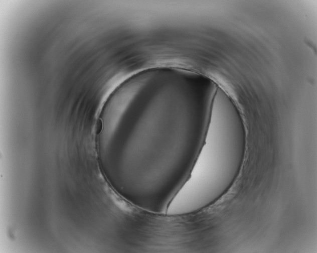 X0000095920816200801181416