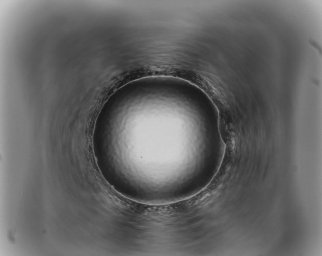 X0000095920817200801181415