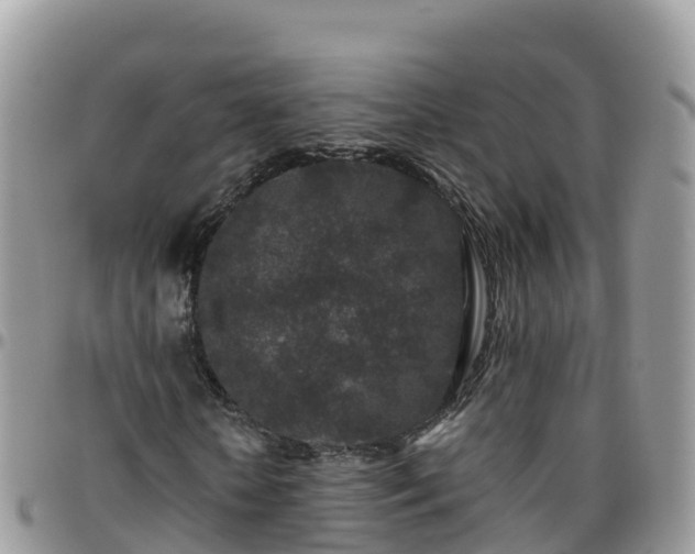 X0000095920818200801181415