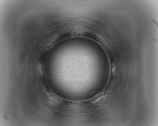 X0000095920819200801181415