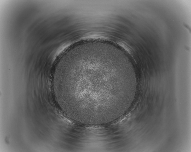 X0000095920823200801181415