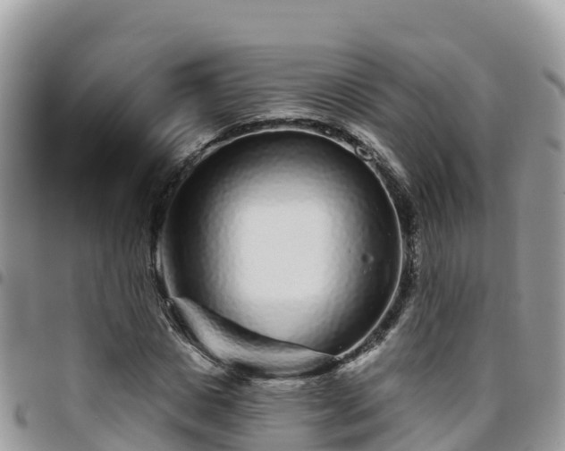 X0000095920825200801181415