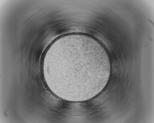 X0000095920828200801181415