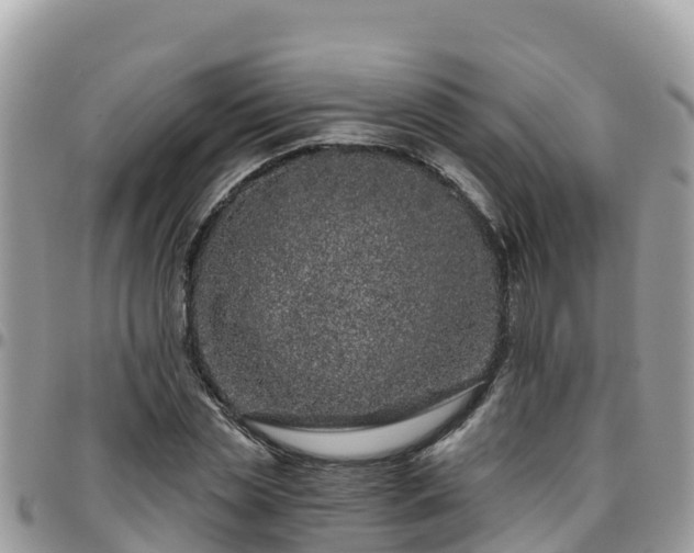 X0000095920829200801181415