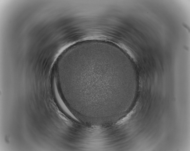 X0000095920830200801181415