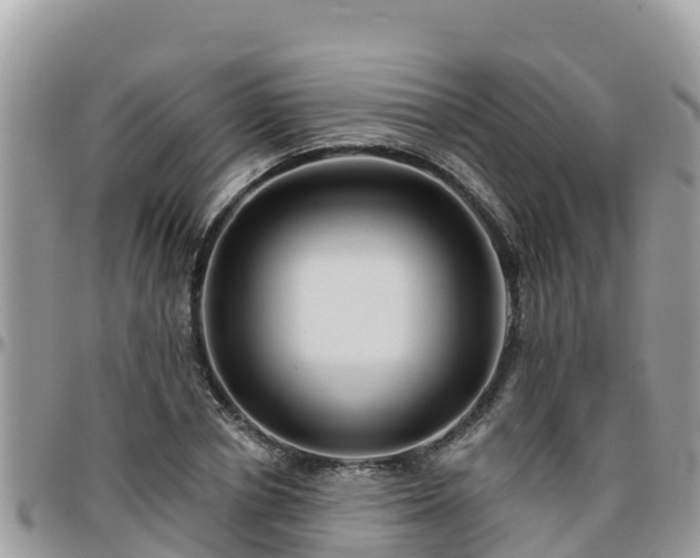 X0000095920834200801181415