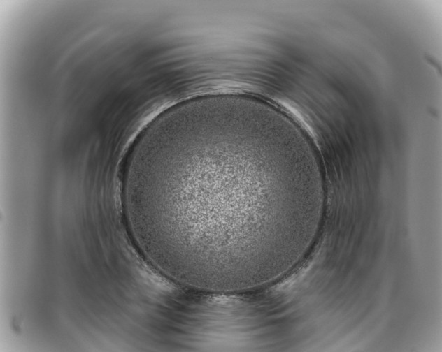 X0000095920835200801181415