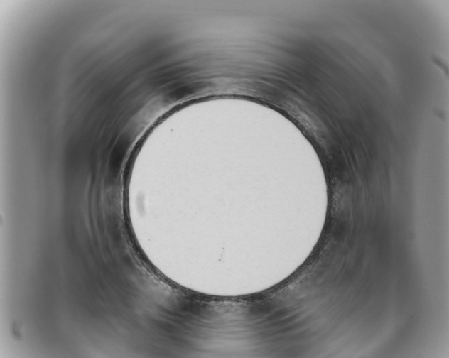 X0000095920836200801181415