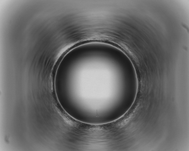 X0000095920838200801181415