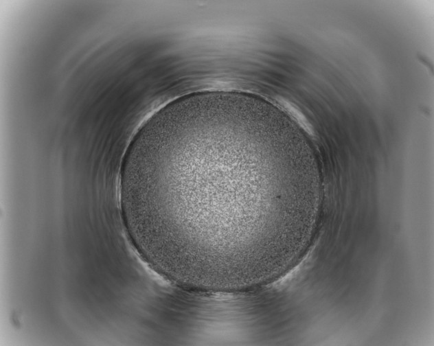 X0000095920839200801181415