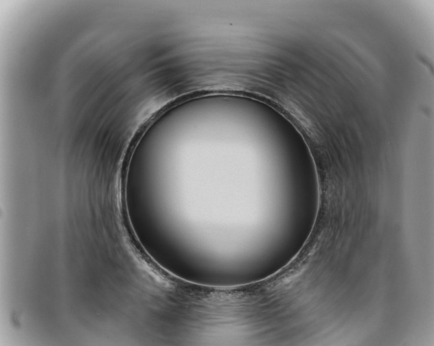 X0000095920840200801181416