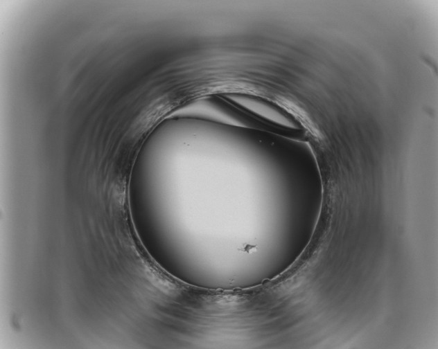 X0000095920841200801181416