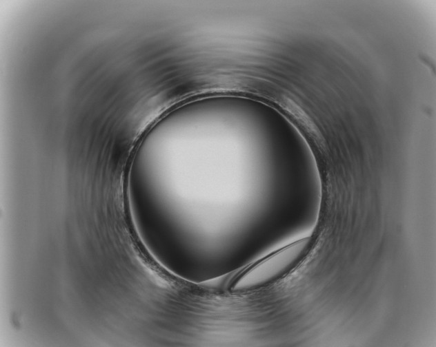 X0000095920842200801181416