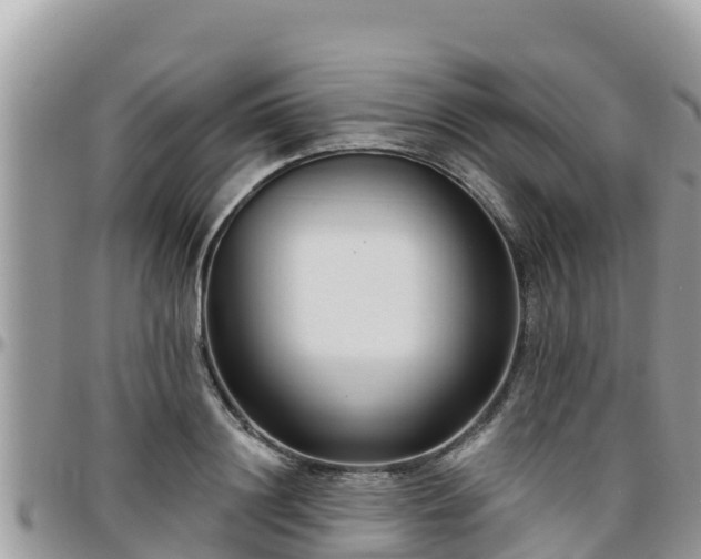 X0000095920844200801181416