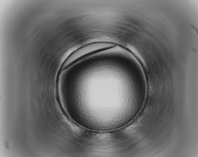 X0000095920845200801181416