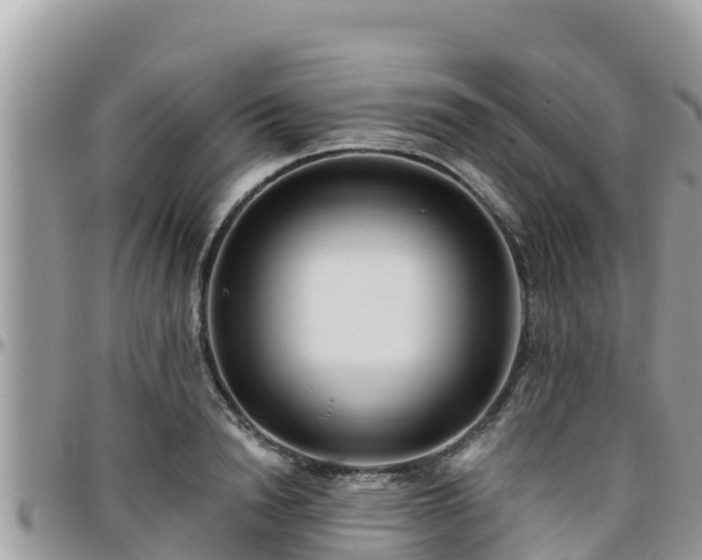 X0000095920846200801181416