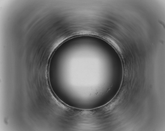 X0000095920847200801181416