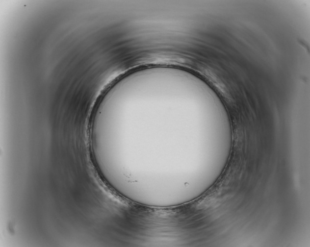 X0000095920848200801181416