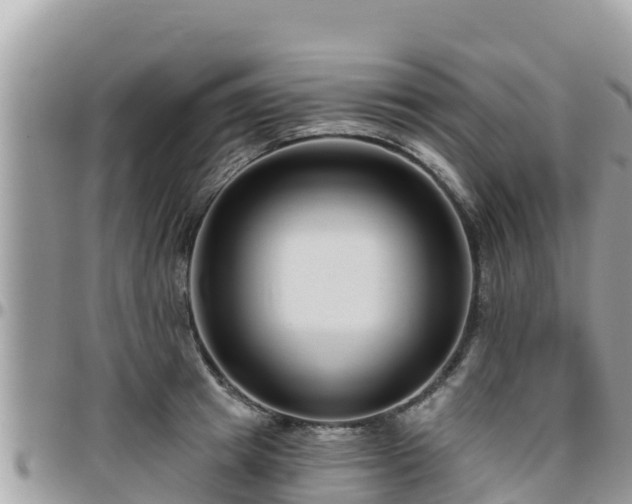 X0000095920849200801181416