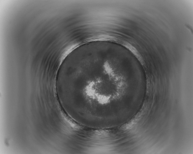 X0000095920850200801181416