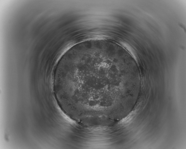 X0000095920851200801181416