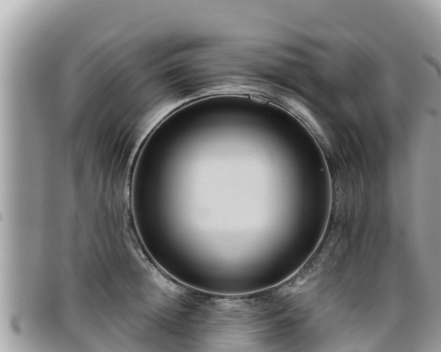 X0000095920852200801181416