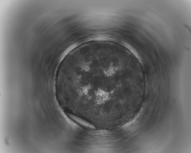 X0000095920853200801181416