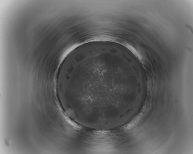 X0000095920854200801181416