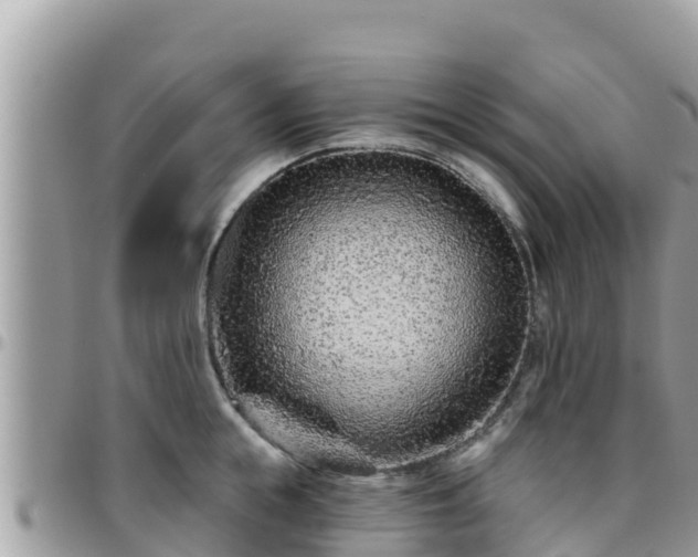 X0000095920855200801181416