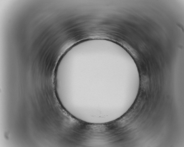 X0000095920856200801181416