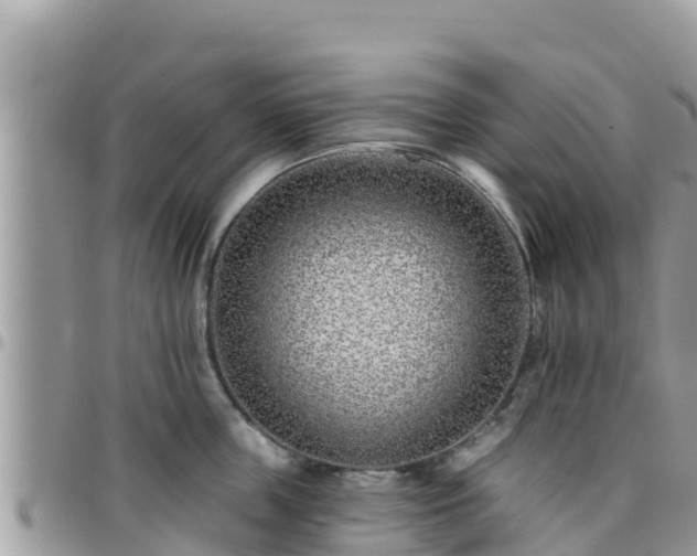 X0000095920859200801181416