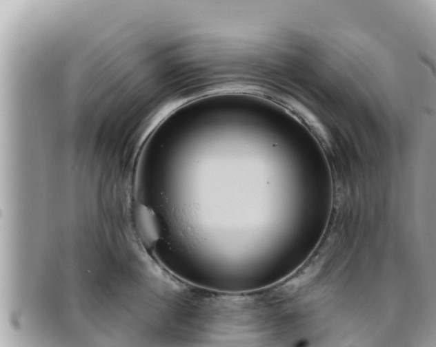 X0000095920860200801181416