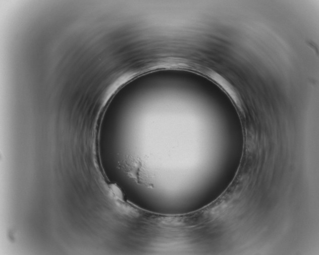 X0000095920861200801181416