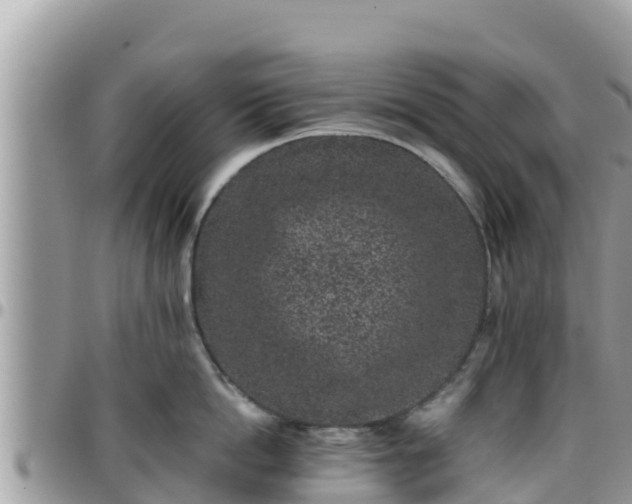 X0000095920862200801181416