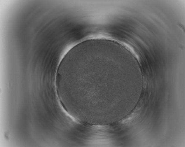 X0000095920863200801181416