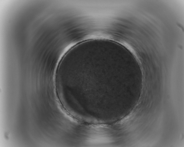 X0000095920864200801181416