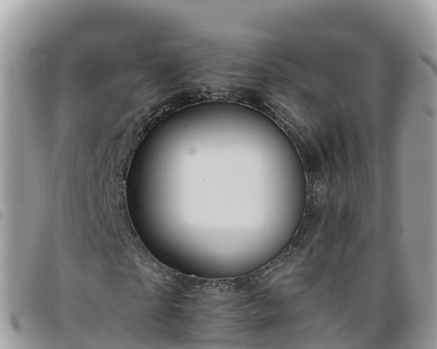 X0000095920865200801181415