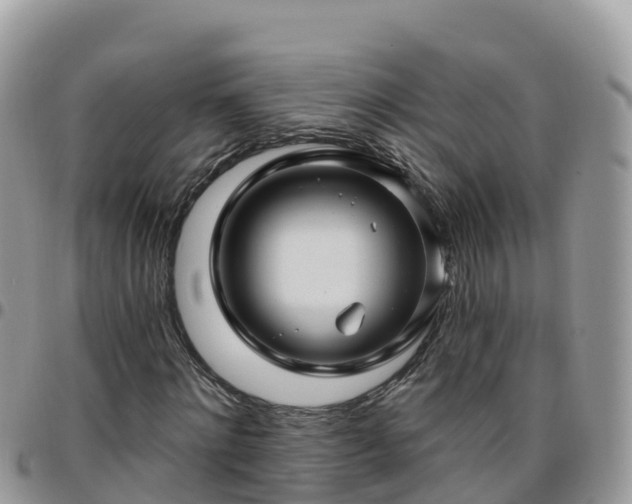 X0000095920868200801181415