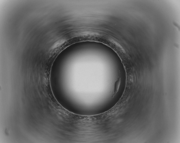 X0000095920869200801181415