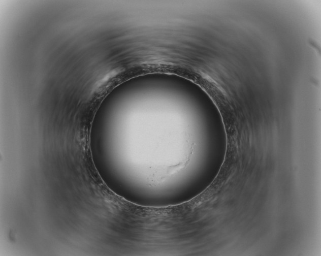 X0000095920870200801181415