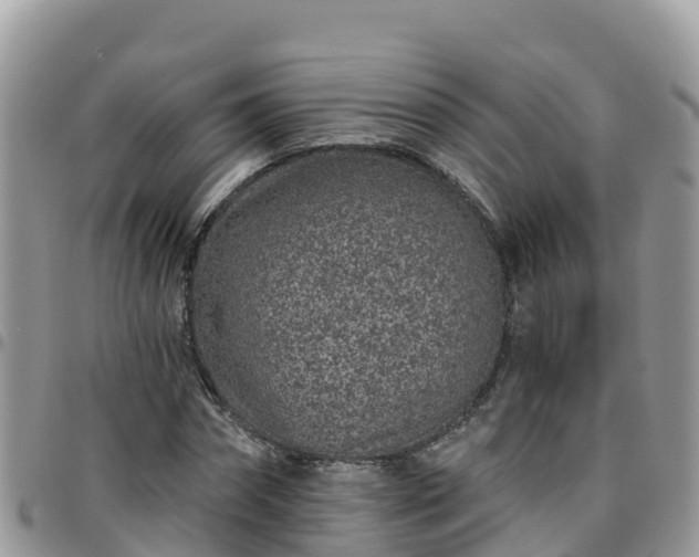 X0000095920874200801181415