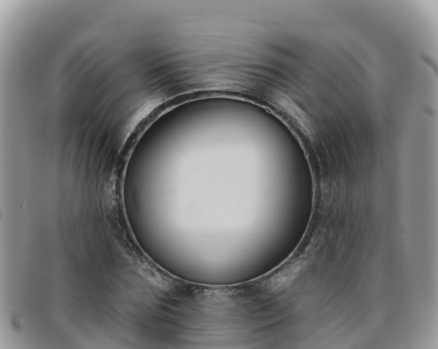 X0000095920875200801181415