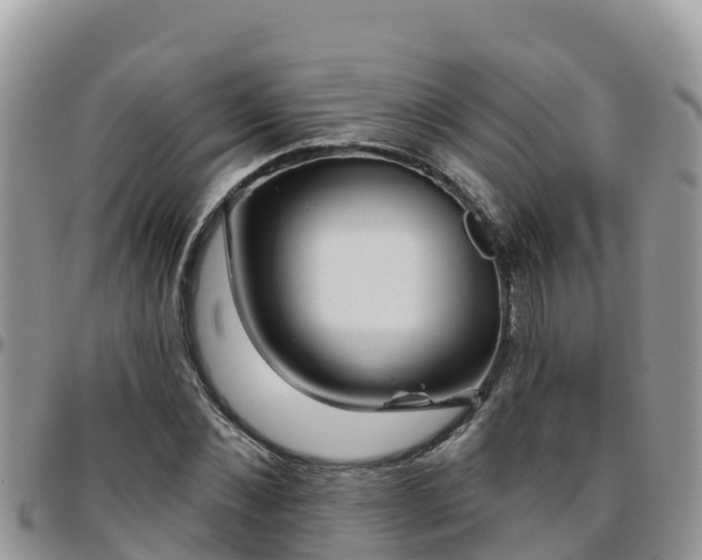 X0000095920876200801181415