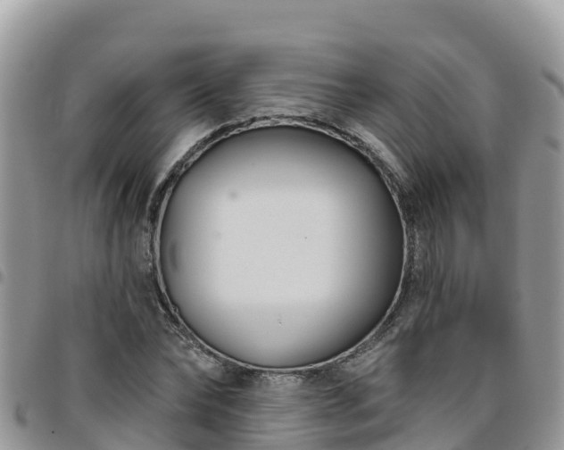 X0000095920878200801181415