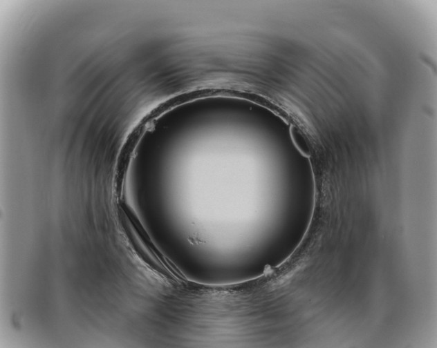 X0000095920880200801181415