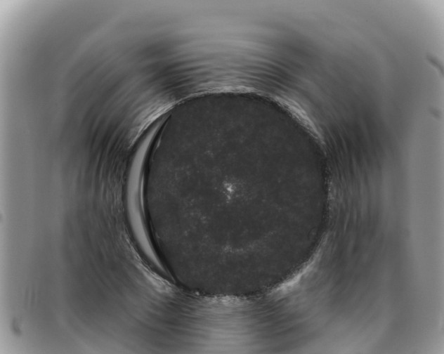 X0000095920881200801181415