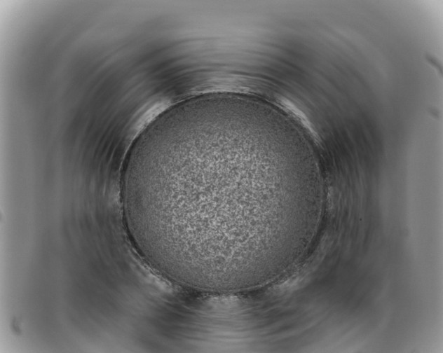 X0000095920882200801181415