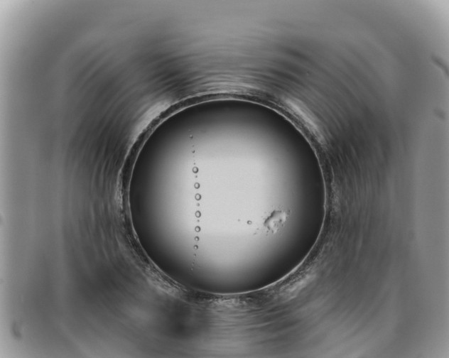 X0000095920883200801181415