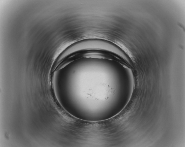 X0000095920885200801181415